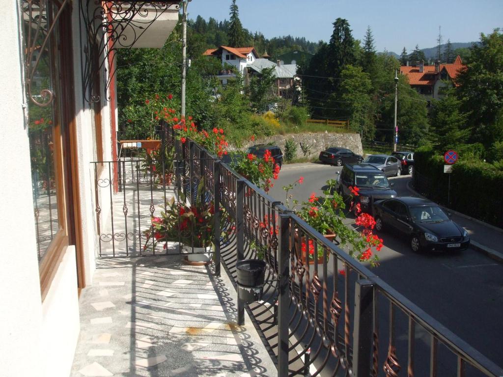Suită de familie (2 adulţi + 2 copii)